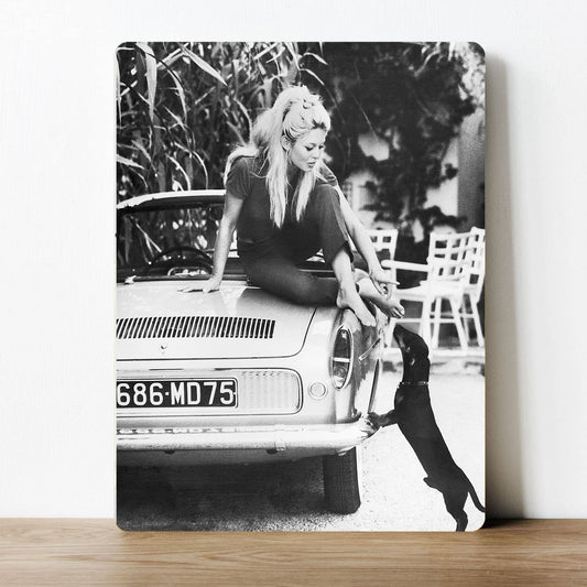Bridget Bardot Car Dog Black and White | Metal Sign Plaque