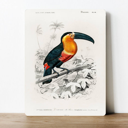Toucan Jungle Garden Calm Spa Metal Sign Plaque
